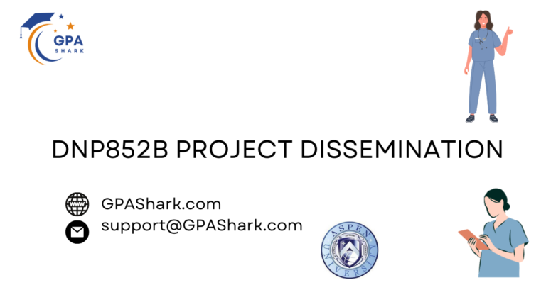 DNP852B Project Dissemination