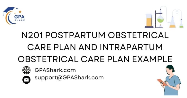 N201 Postpartum Obstetrical Care Plan and Intrapartum Obstetrical Care Plan writing services