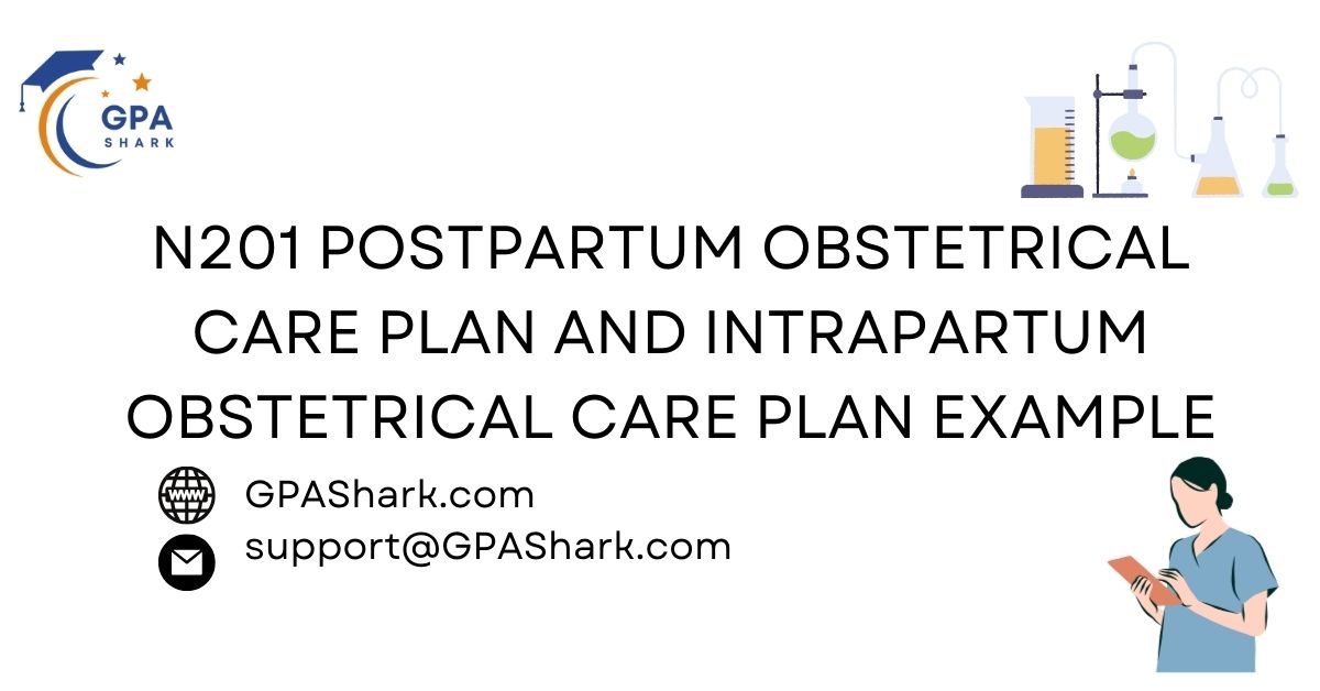 N201 Postpartum Obstetrical Care Plan and Intrapartum Obstetrical Care Plan writing services