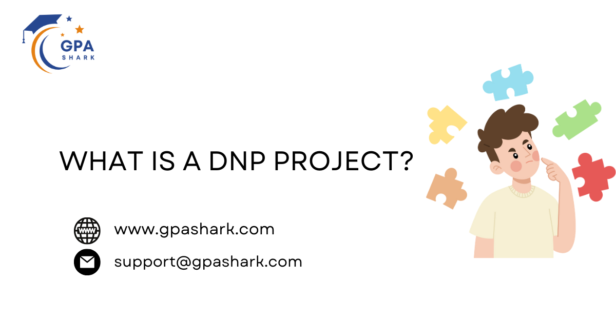 What is a DNP Project