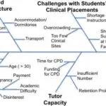 Fishbone Diagram for NURS 7301 Assignment 2 example