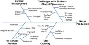 Fishbone Diagram for NURS 7301 Assignment 2 example